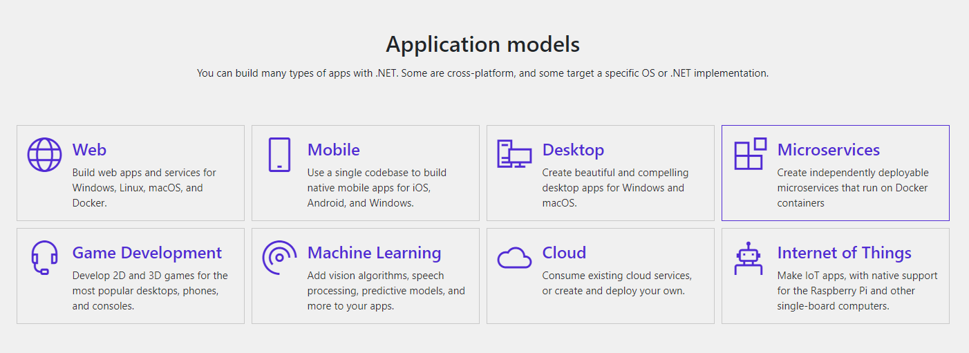 .NET 5 application models